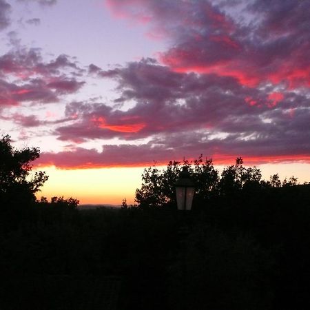 La Ghirlanda B&B Arezzo Exteriör bild