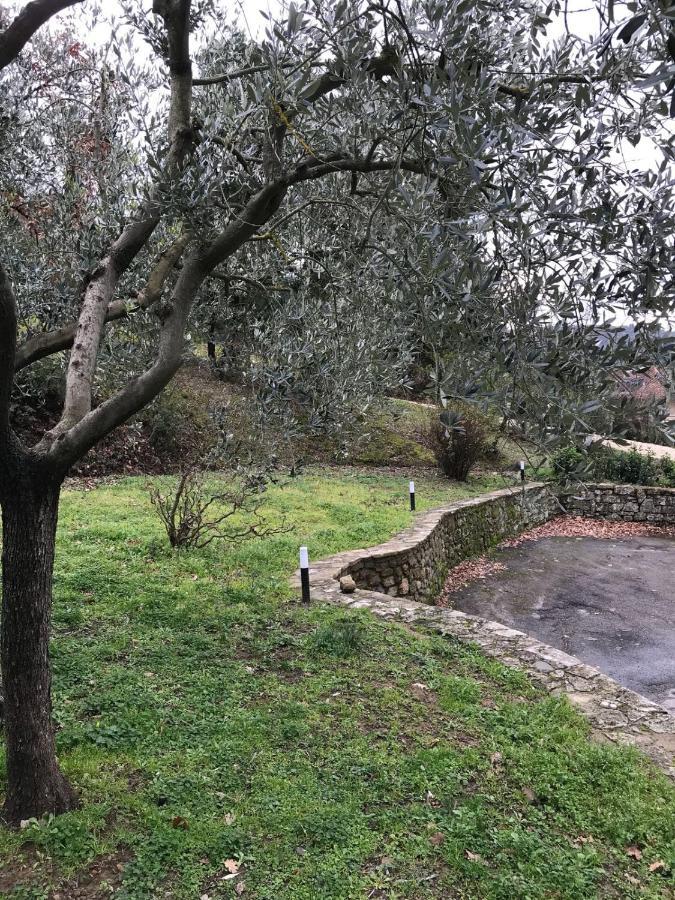 La Ghirlanda B&B Arezzo Exteriör bild